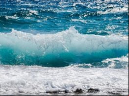Crise climática: acidez oceânica atinge ponto crítico para o planeta, aponta estudo