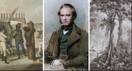 Charles Darwin no Brasil: o que fascinou e horrorizou o cientista em viagem ao país